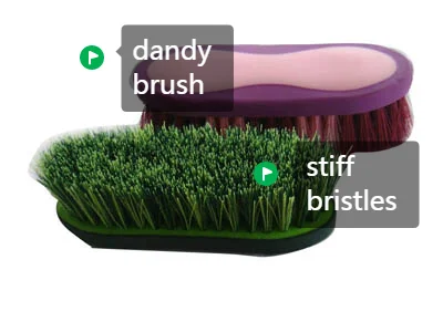 Plastic Horse Dandy Brush With Long Stiff PP Bristles Flick brush for Effective Horse care