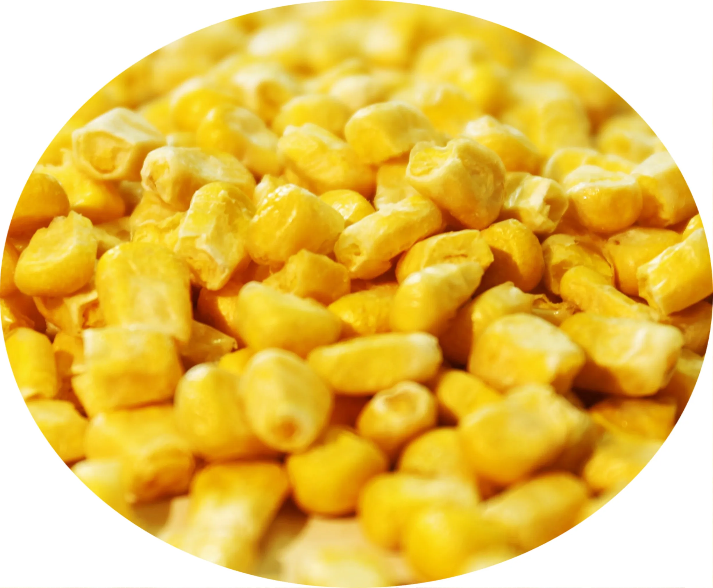 Top Quality Natural Food Freeze Dried Vegetables Dried Sweet Corn