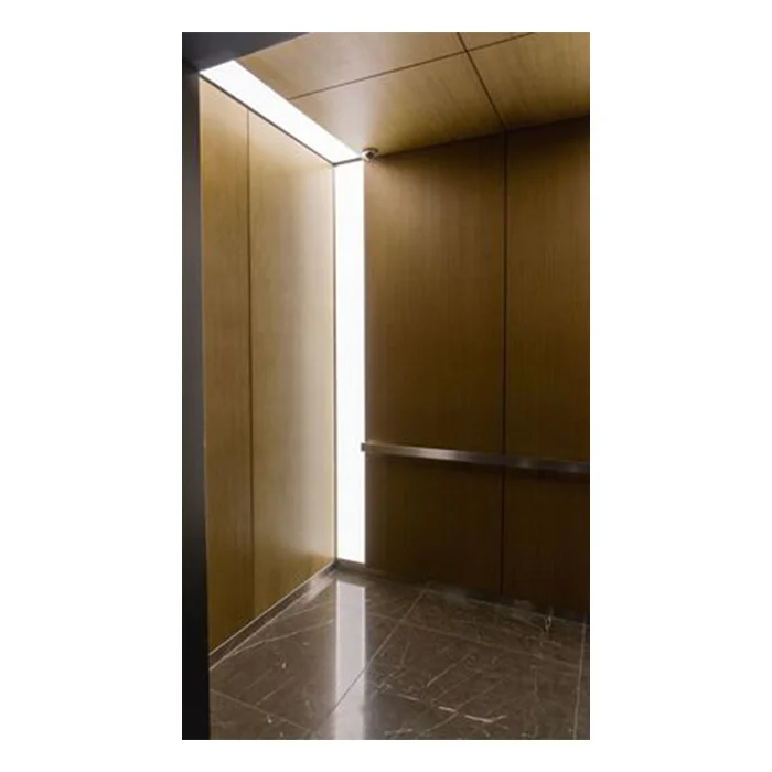 ZLE Best Selling Passenger Elevator Small Machine Room Roomless Residential Lift
