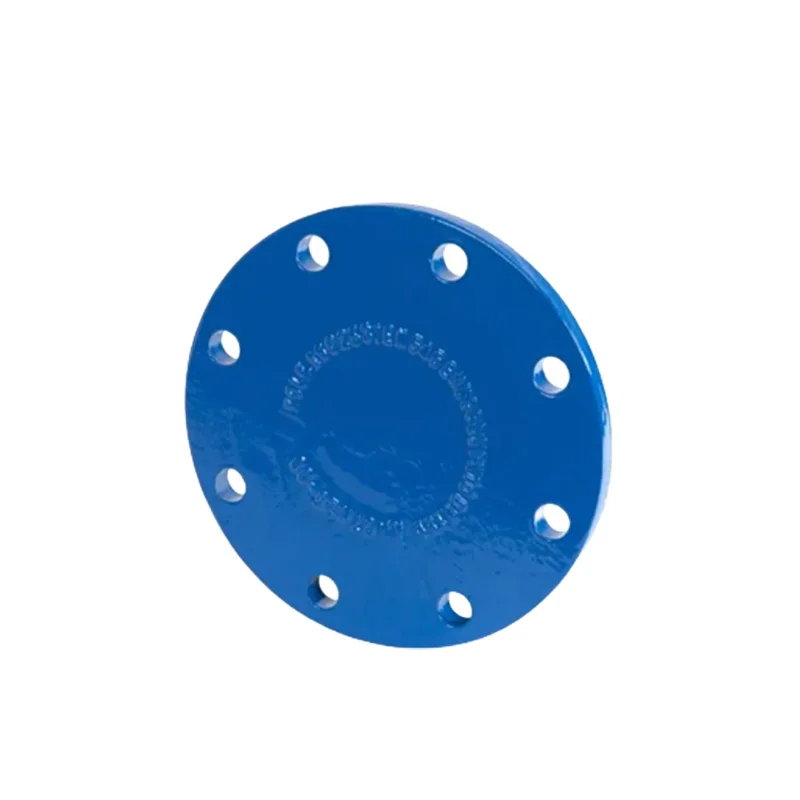 Black Coating Cast Iron /Ductile Iron Flanged Fittings Blank Flange PN16/25