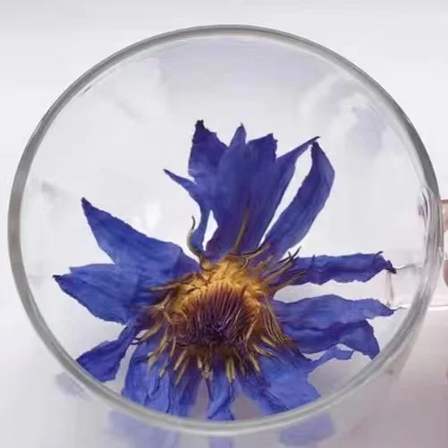 Natural Herbal Blue Lotus Dried Tea Blue Lotus Herbal Tea