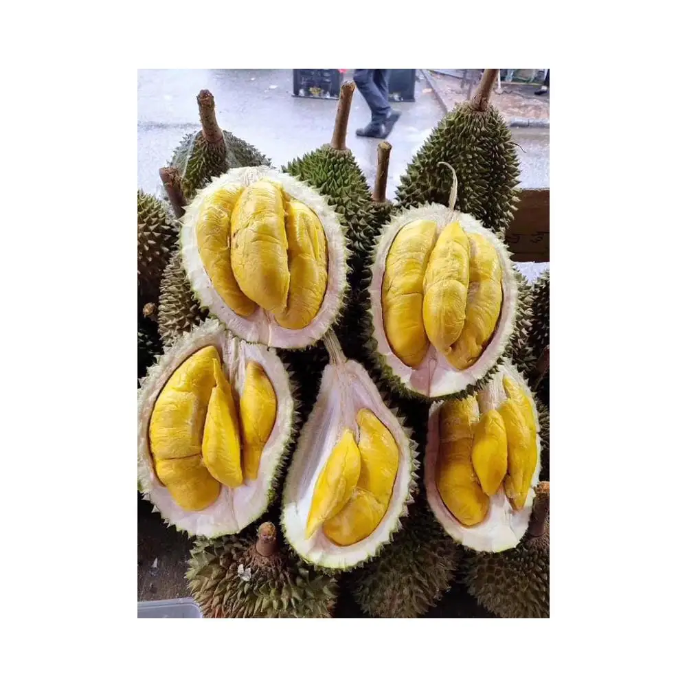 
Premium Grade Quality Whole D197 Musang King Durian in Bulk Supplier 