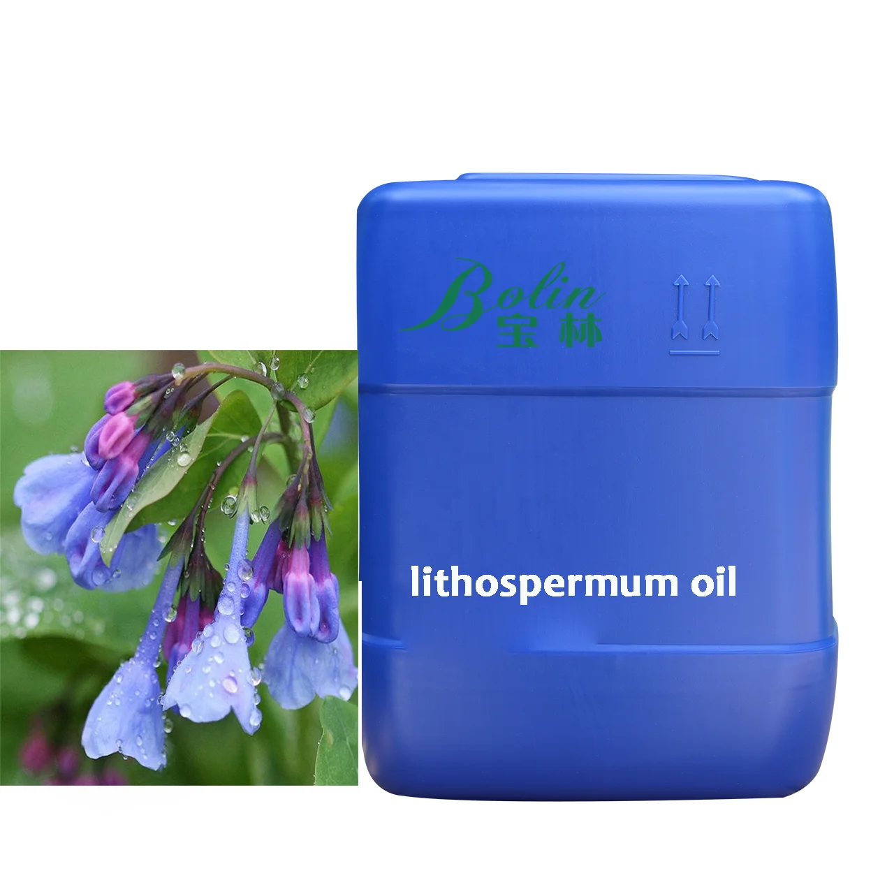 Оптовая продажа с завода чистое натуральное масло втулки/масло корня литоспермумы/масло комора