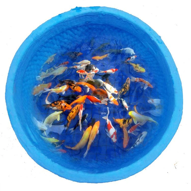 pentens waterproof coating