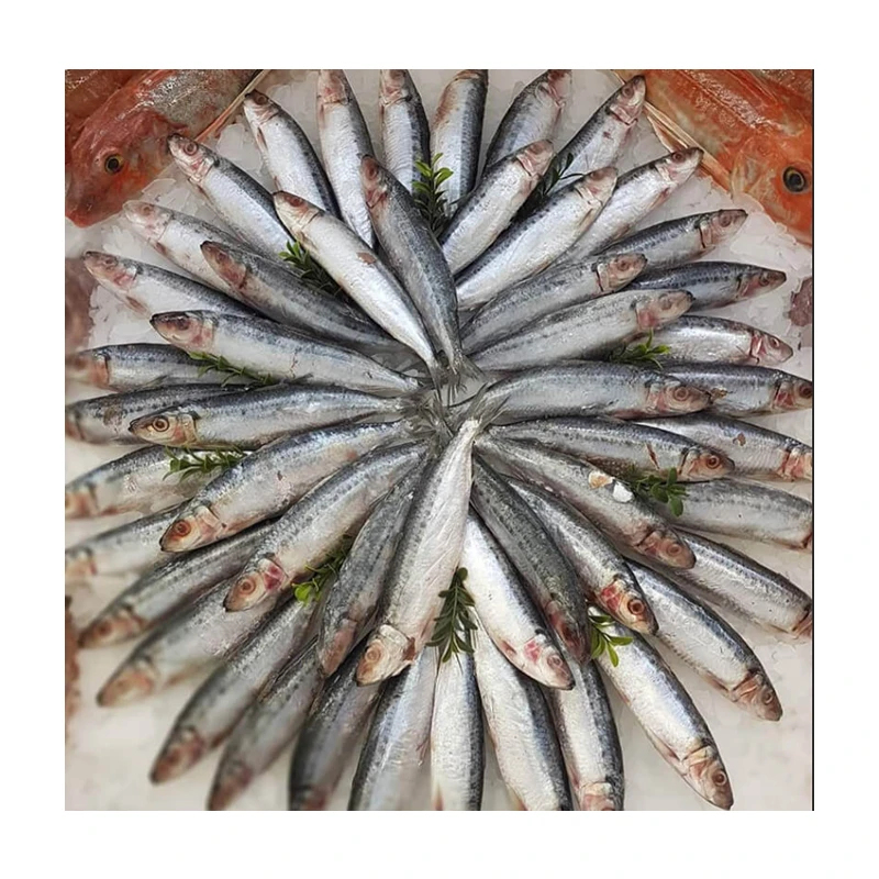 KWS Chinese Factory Supply Frozen Sardine