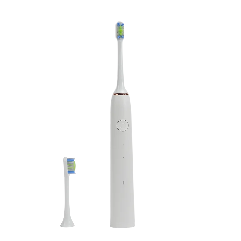 Handle Toothbrush Electric Ultrasonic Ultra Whitening Charging Electric ToothBrush Heads Replacement OEM Electric Toothbrush
