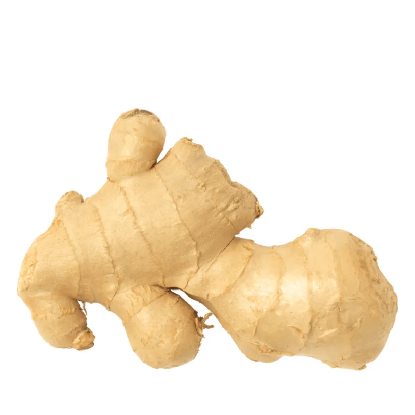 Wholesales New Fresh Ginger 40-600 cm in length Competitive Price Vietnamese Manufacturer Quality Small MOQ Samples Available
