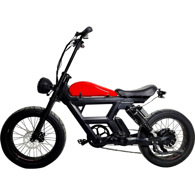 Electric Bicycle New Model High Quality Super Cool Fancy 73 for People to Ride