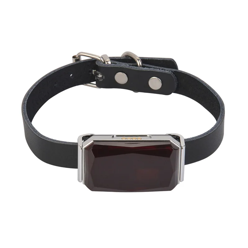 G12 pet collar locator smart wear gps puppy cat waterproof anti-lost anti-theft tracker French bulldog Chihuahua accessories