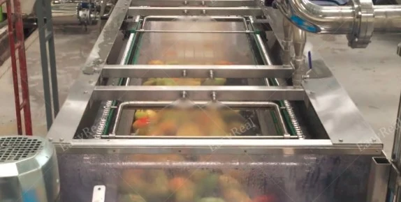 Turnkey Industrial Mango Juice Pulp Puree Jam Process Production Line Manufacturing Plant