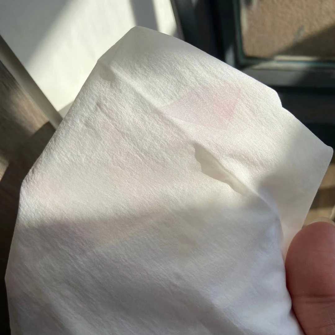 400T/380T 100% Nylon Taffeta High Density Fabric With PU Coated Ripstop fashion design light weight fabric color Changing Fabric