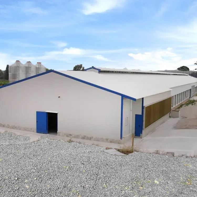 Крупномасштабная современная конструкция бройлера, сарай для птицефабрики, сарай, клетка для курятника