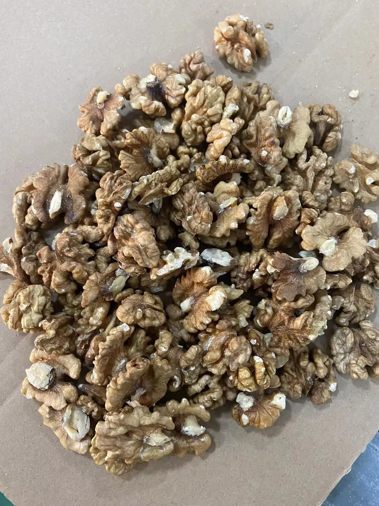 Best Price Common Walnut Nuts Top Class Walnut Kernels Dried Style Raw Walnut