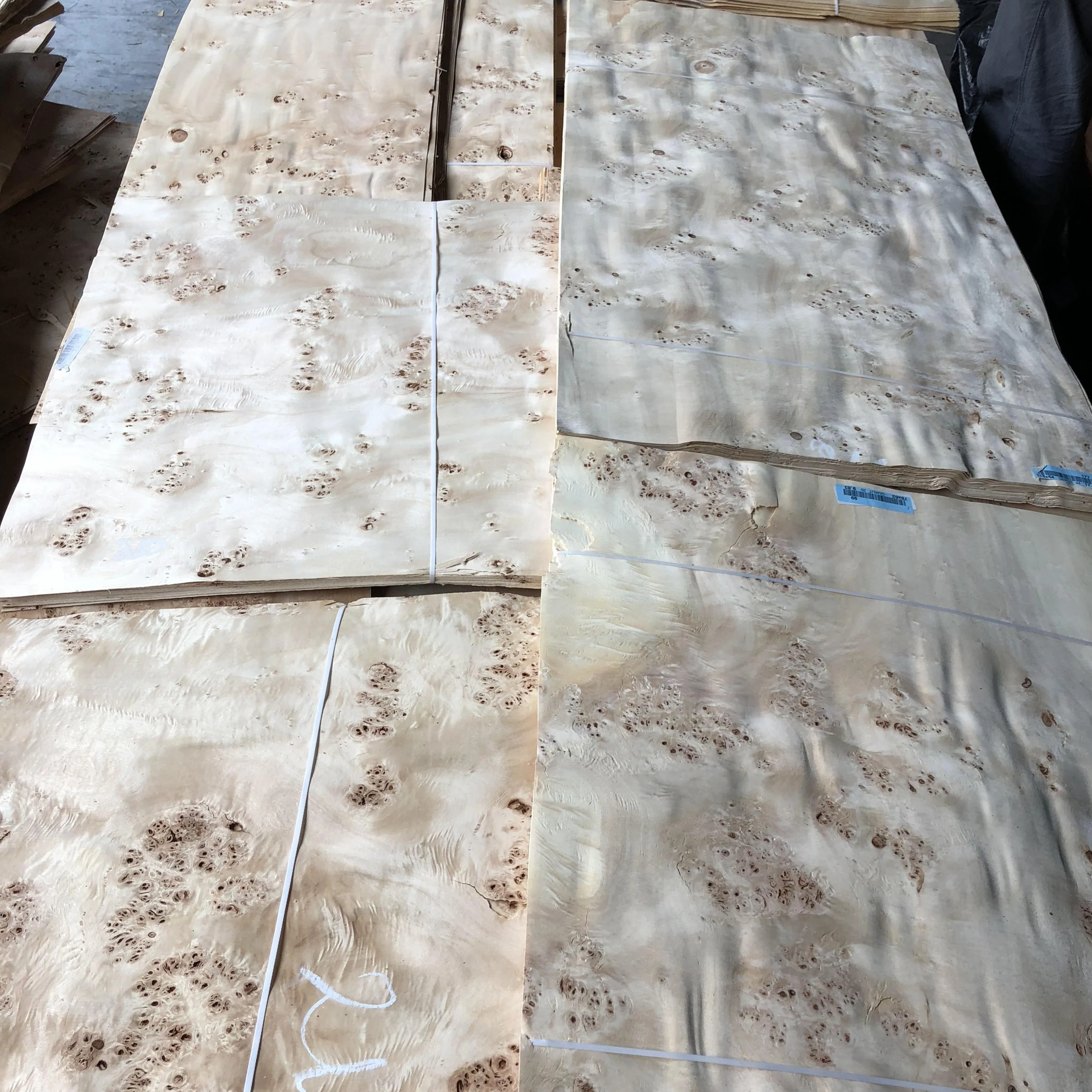 High Quality Mappa Burl Veneers Sheet Natural A/AA Burl Veneers Mappa Burl Wood Veneer Sheet for Flooring Furniture