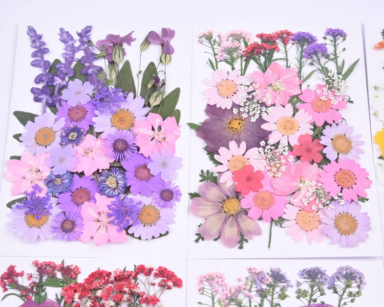 New Flower Decoration  Material Bag Diy Hand Drop Glue Resin Mobile Phone Case Photo Frame Dried  Dried Flowers And Plants