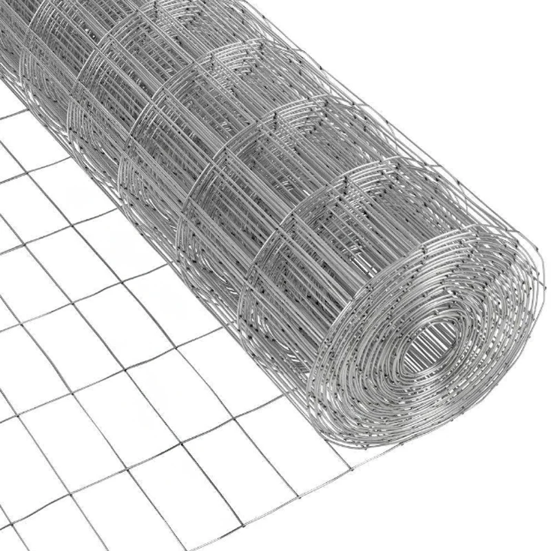 Duck cage hot galvanizing welded wire mesh 6x6 Stainless steel welded mesh Electrowelding net