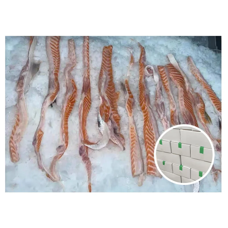 Europe Supply Best Price Ikan Fillet Salmon Frozen  Fresh  Whole Round Salmon Fish Belly on Gutted