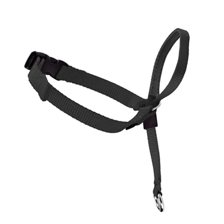
 No-Pull Dog Collar Dog Head Collar Adjustable and Padded Training Tool for Dogs on Walks  