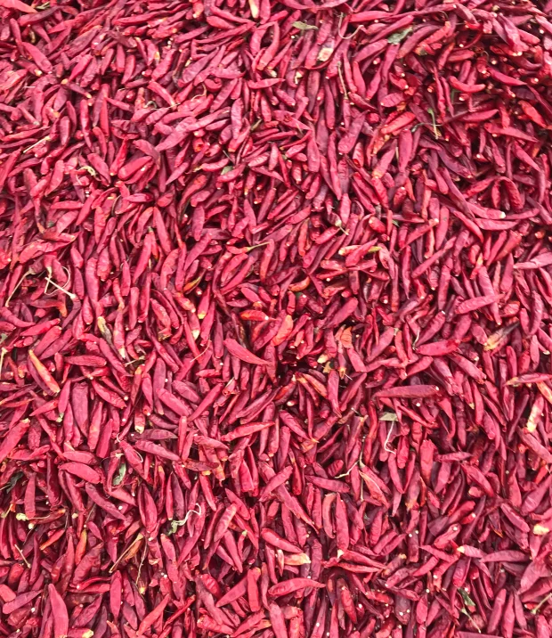 Оптовая продажа, сушеный красный чили для приготовления пищи