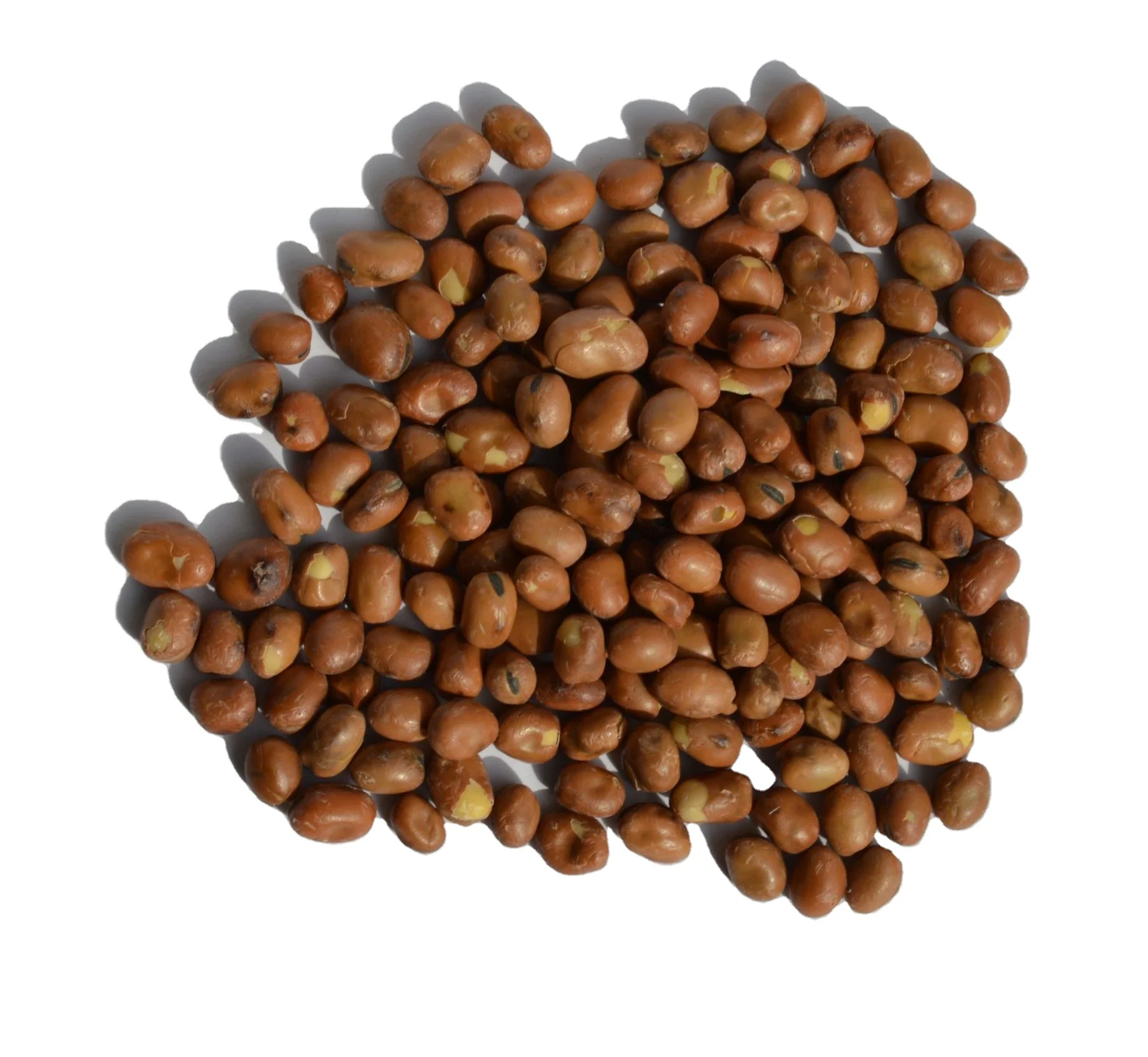 Фасоль Faba, высокое качество