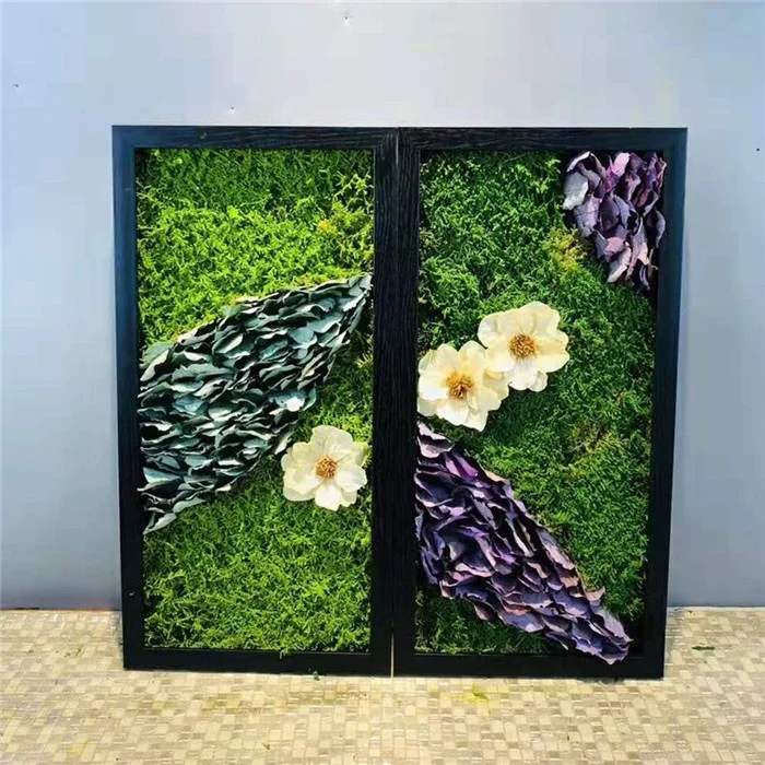 wholesale decorative green moss balls high quality natural preserved reindeer moss wall hanging frame for wall decor