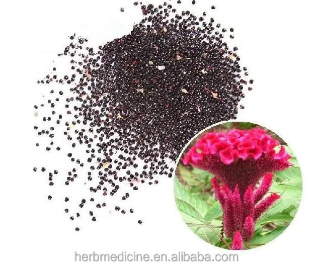 High quality raw dried pure Celosia cristata L seeds for planting