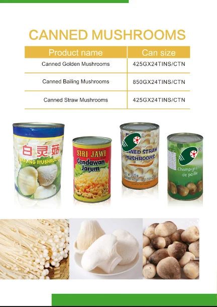 canned bailing mushroom