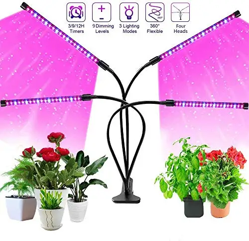  2020 новая модель led grow light полный спектр растительного света для внутреннего