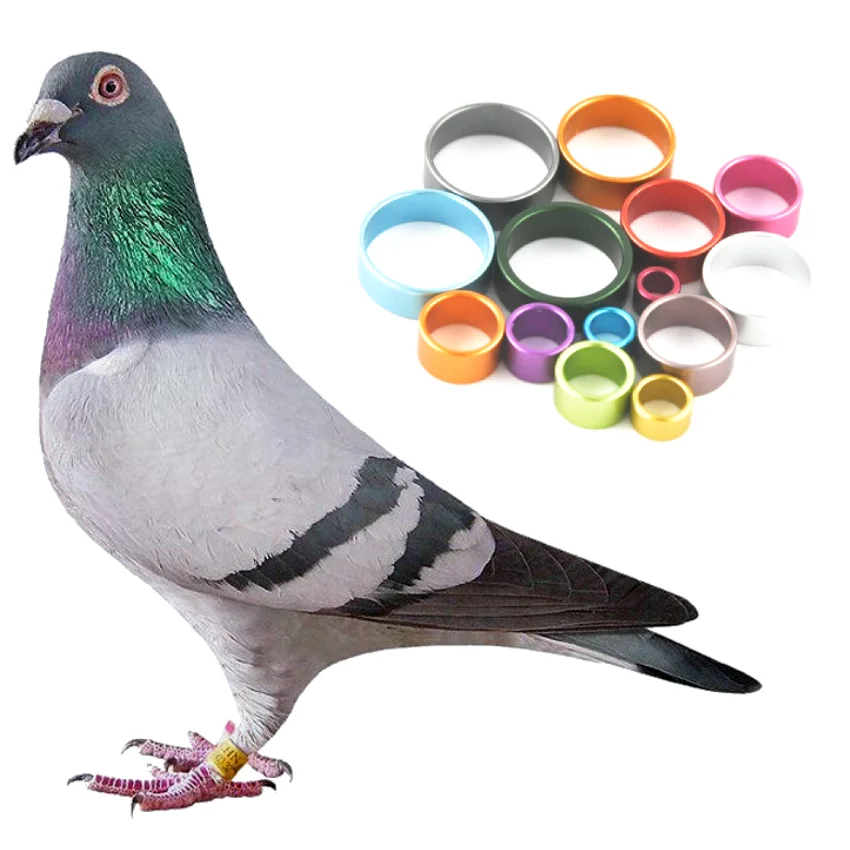 New aluminium pigeon rings for birds multi size bird rings aluminium 100 -999 pieces in 2023