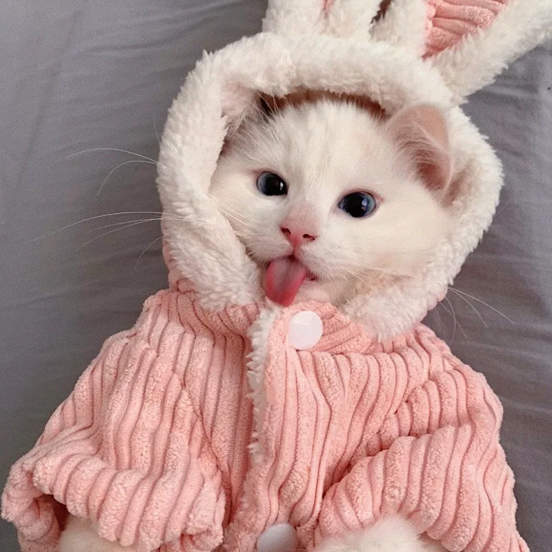 New Cute Rabbit Clothing Winter Pet Dog Clothes Outfit Cats Small Dogs Corduroy Plush Warm Jacket