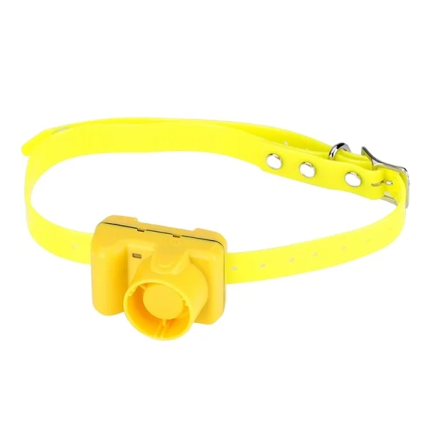 Самая низкая цена лидер продаж на Amazon передвижной собачий тренировочный ошейник для охоты