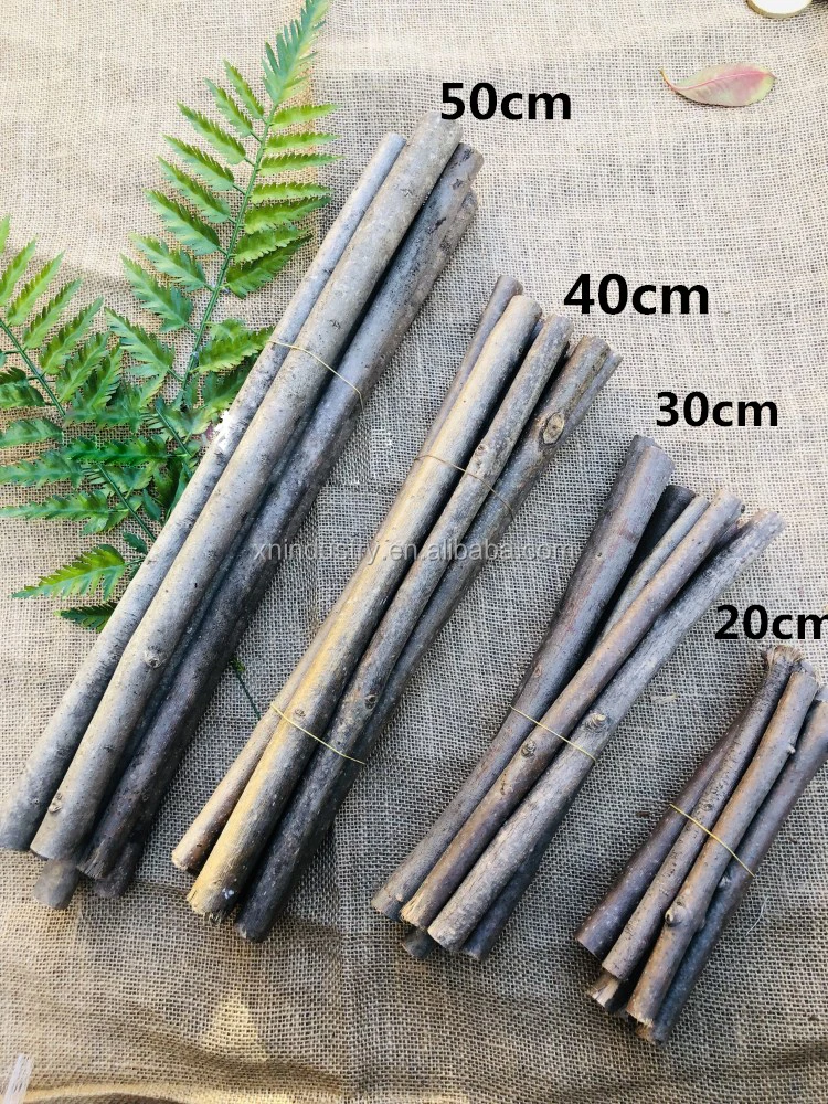 Натуральная сушеная деревянная палочка декоративная оптовая продажа организация цветов натуральные деревянные части Белые коричневые стебли ветки