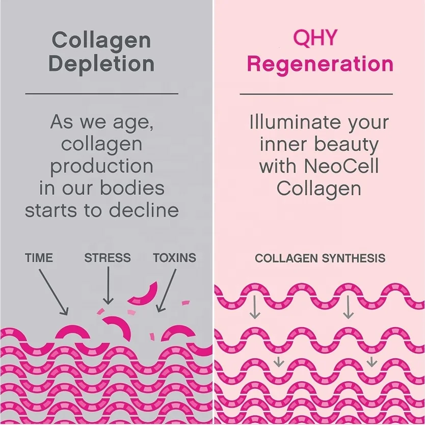 OEM Fish Collagen Peptides Powder Support Bone Joint Health Promotes Hair and Nail Skincare Whitening Collagen Powder Supplement