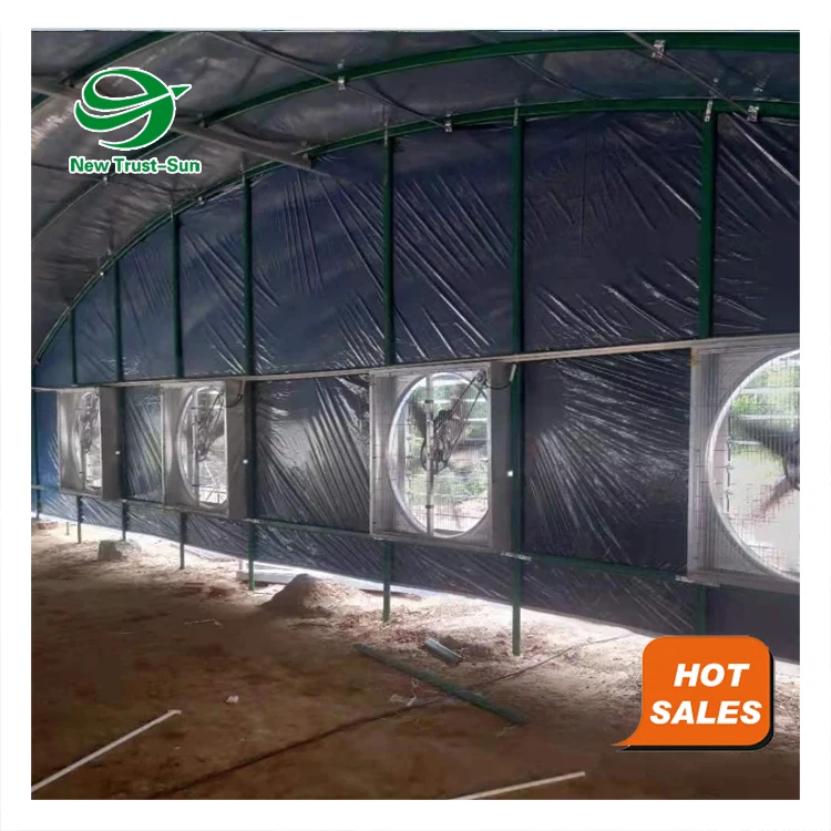 
automatic chicken cages poultry farming equipment heaters greenhouse 