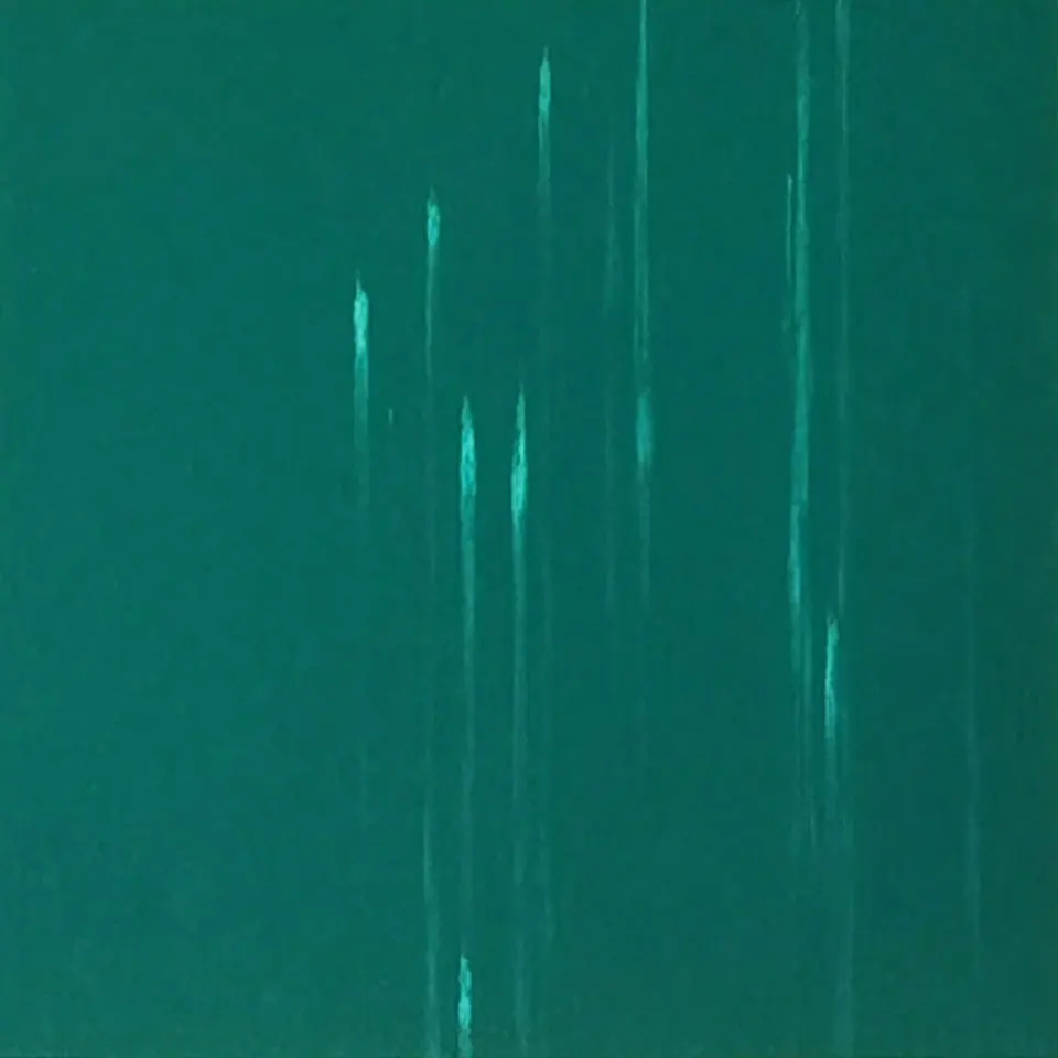 brand new pvc flooring in China  with high quality and   best price