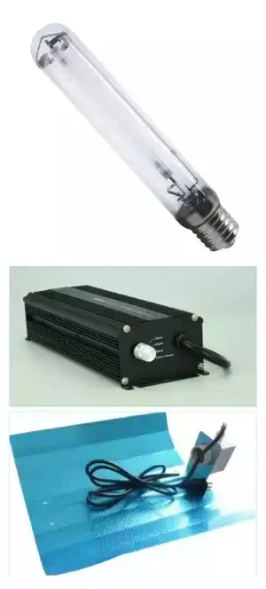 Most Popular with competitive Price  for hydroponic 600W ballast kit  600W HPS grow light kit