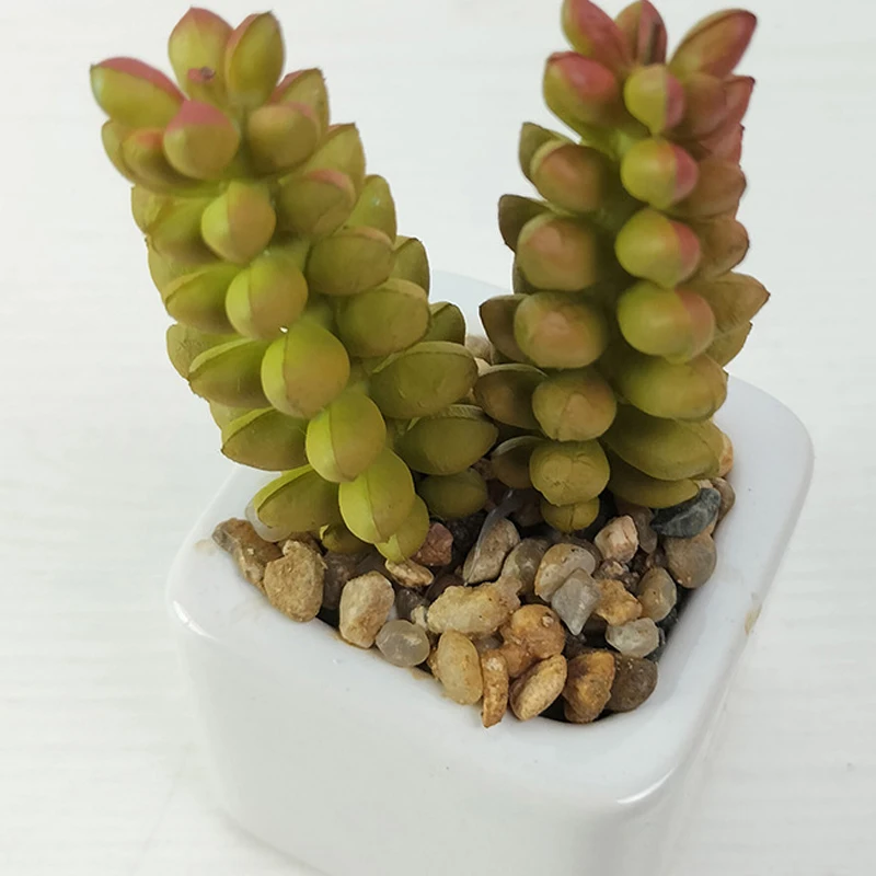 Mydays Artificial  Plastic Succulents Plant Small Mini Potted Succulents for Home Office Living Room Desk Decor
