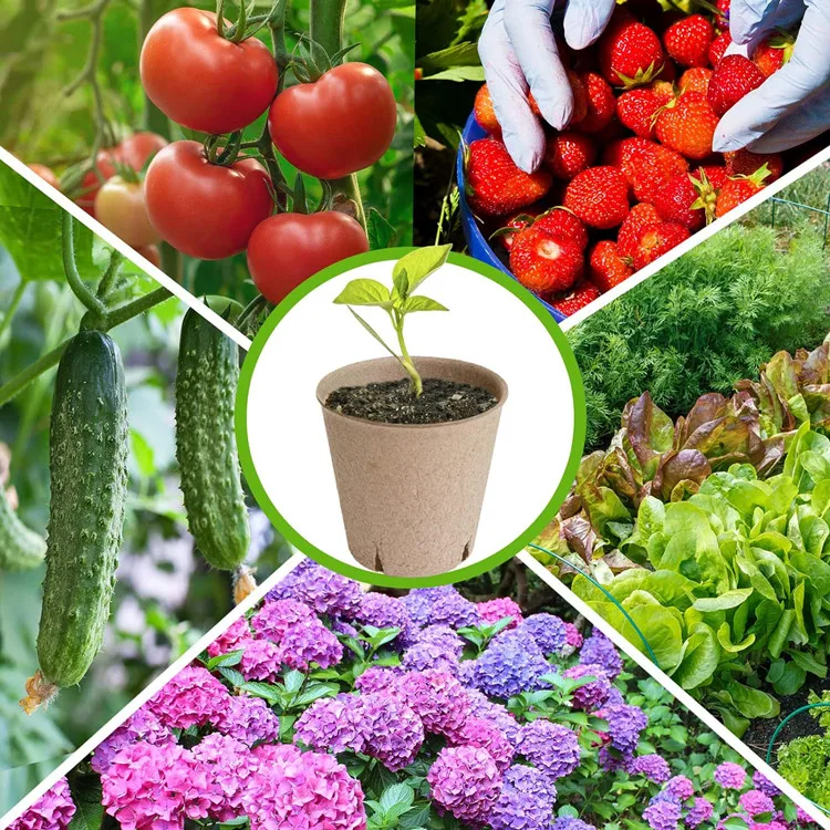 biodegradable paper pulp organic garden pots 3.15 inch for starting flowers vegetable saplings