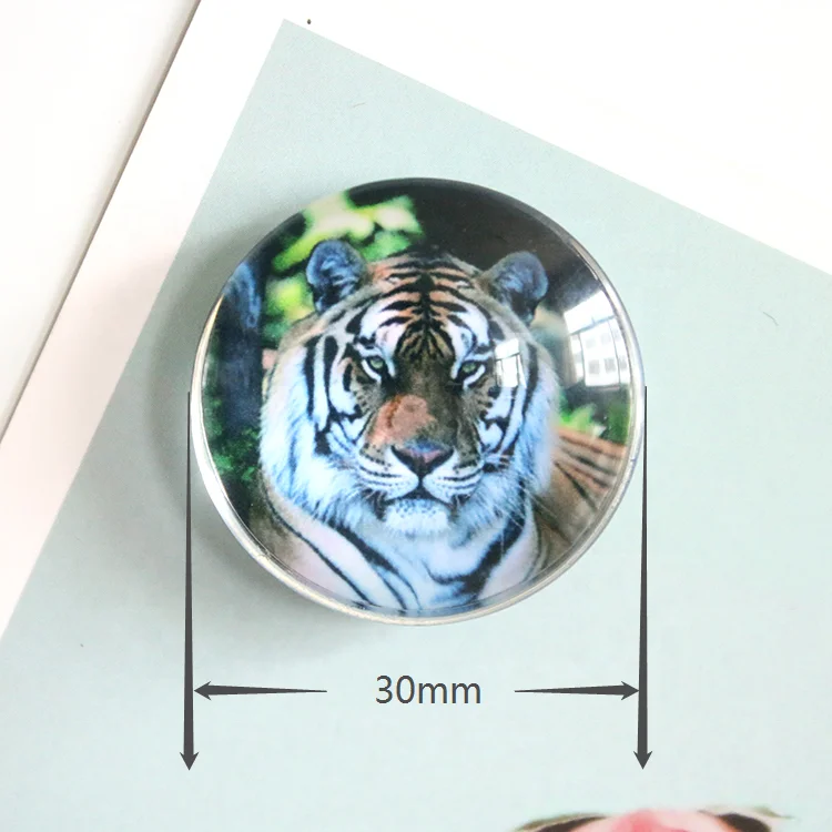 Персонализированный Магнит на холодильник LY Dome 3d для сувениров, африканская трава, тигр