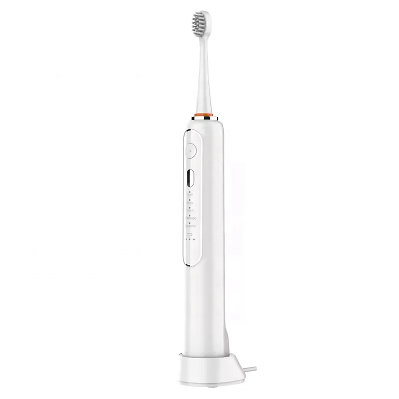 2024 New 3 in 1 China Rechargeable Dental Power Flosser Floss Pro USB Cable Oral Irrigator With 2pcs Electric Toothbrush Head