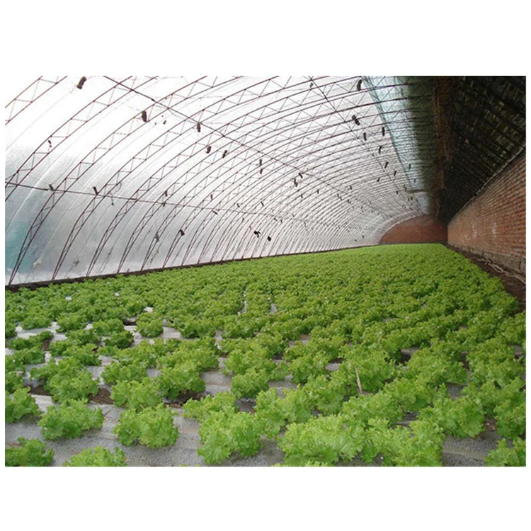 Skyplant Passive Solar Greenhouse Low Cost Passive in-solar greenhouses