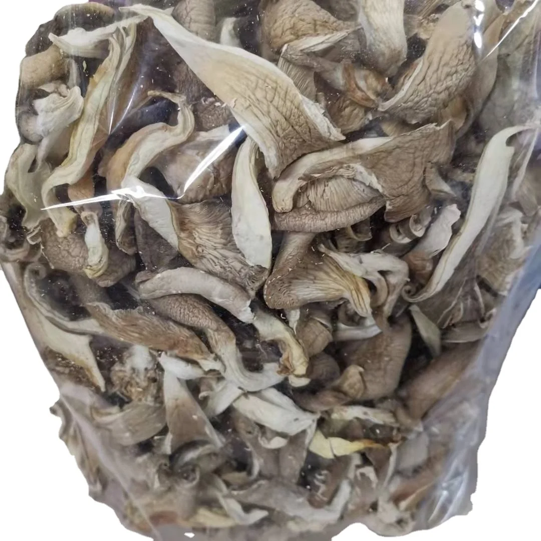 high quality mushroom dried pleurotus ostreatus dried oyster mushroom wholesale