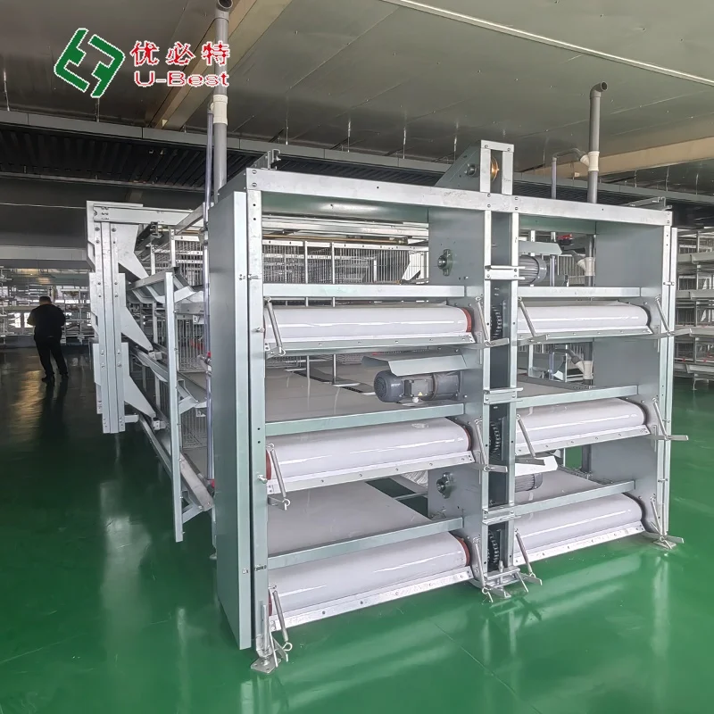 New Design Chicken Feeder Poultry Farming Animal & Poultry Husbandry Equipment Chick Battery Broiler Cage For 10000