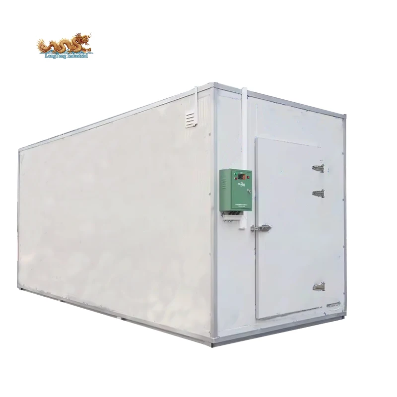 Potable Refrigerated Freezer and Chiller 13ft 20ft Container Cold Storage Room for Meat Storage