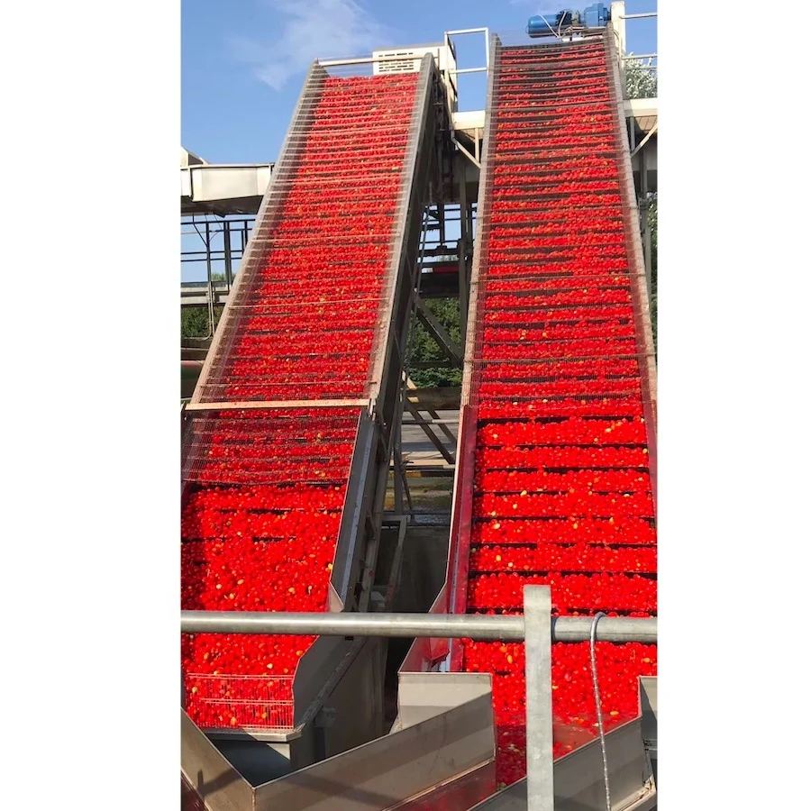 Bulk tomato paste in 220L aseptic drum tomato paste  Brix 28-30/36-38% Cold Break Fresh Organic Tomato Paste