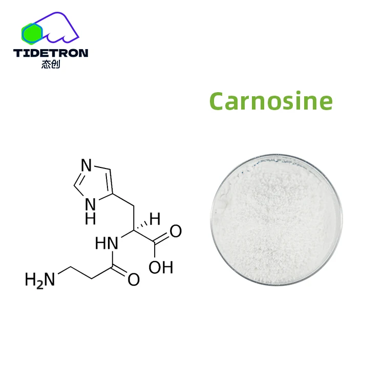 Factory Wholesale Price L-carnosine CAS 305-84-0 Raw Materials Powder