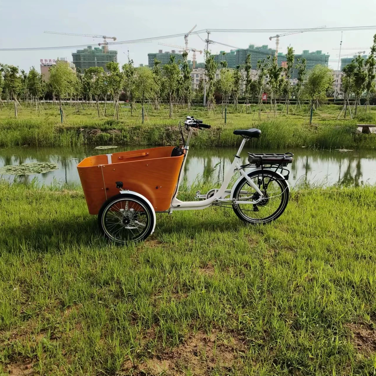 Europe Electric cargo trike CE family bike electric cargo bike three wheel electric cargo tricycle