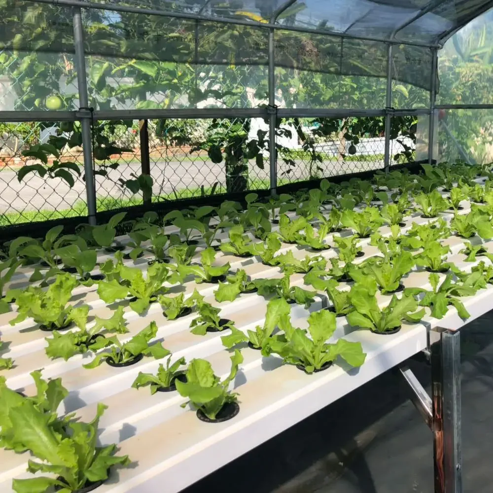 Greenhouse Hydroponics Growing System Agricultural Hydroponics Pipe Equipment 100*50mm Removable Lid Nft Channel