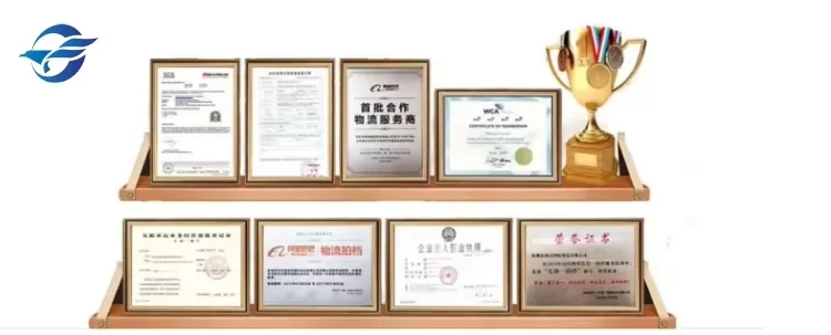 FBA Freight Agent LCL Shipping Companies Dropshipping 1688 Agent China International Sea Free Shipping Agent To USA In China
