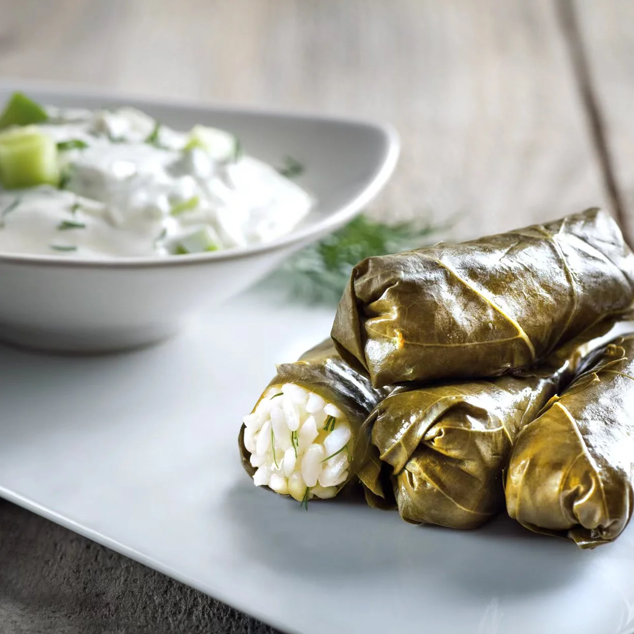 Grape Leaves in Vented Pail High Quality Grape Leaves in Brine Premium Quality